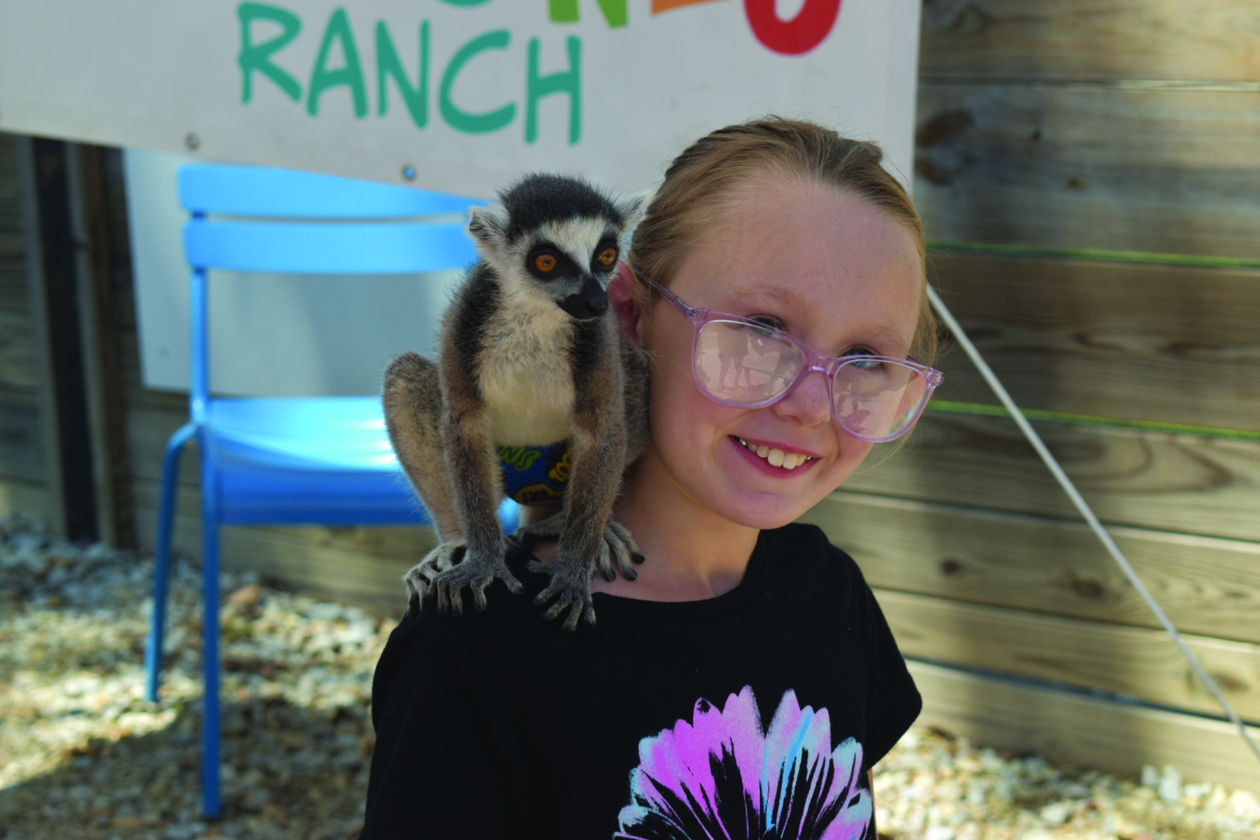 Lollies & Lemurs at Huntington Square